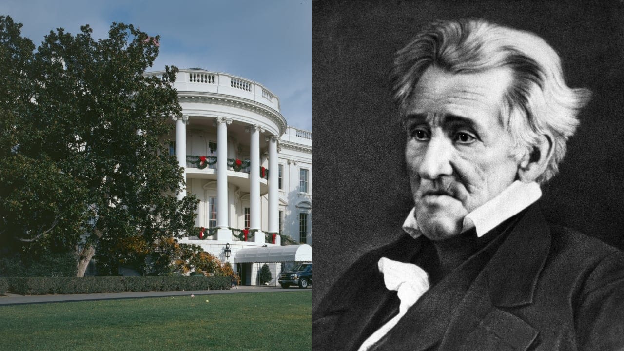 15 White House Trees Rooted in Love, Loss, and Legacy - Jacksons Southern Magnolia wc Andrew Jackson wc