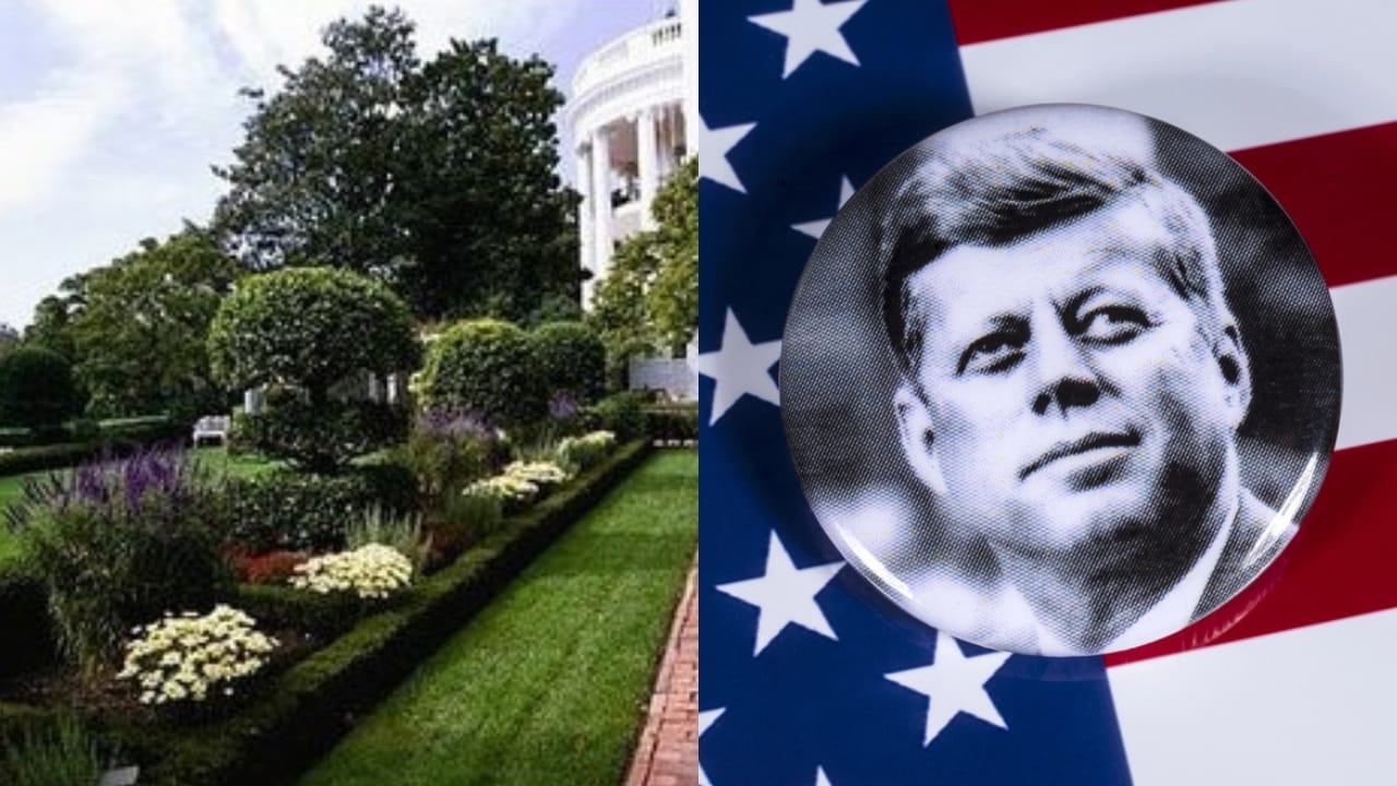 15 White House Trees Rooted in Love, Loss, and Legacy 4 15 White House Trees Rooted in Love, Loss, and Legacy - Kennedys Rose Garden wc John F. Kennedy dp195801112 dnoh