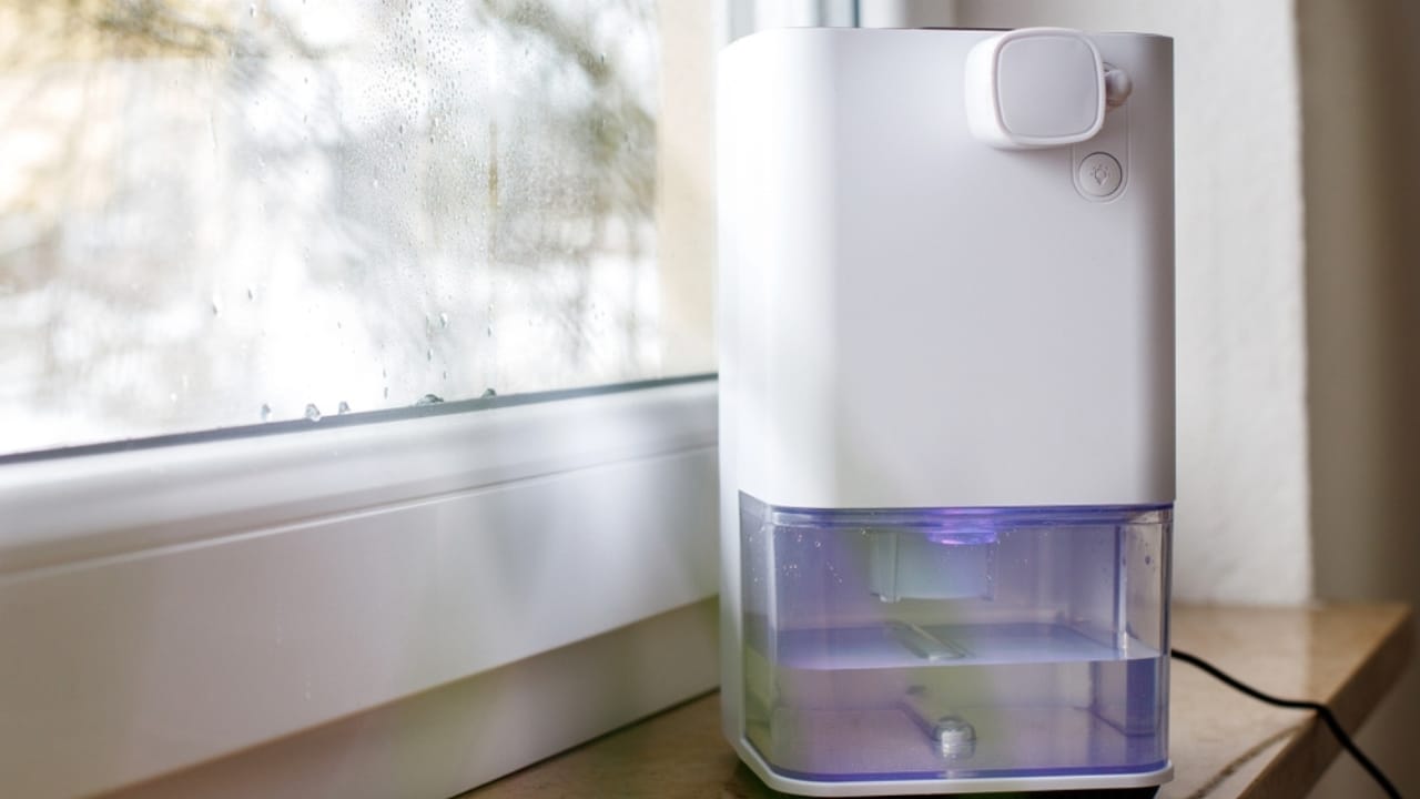 Beat Window Condensation with a Simple Salt Bowl Trick 7 Beat Window Condensation with a Simple Salt Bowl Trick - LG LED Light with Growth Dehumidifier ss2439555271 dpdgm