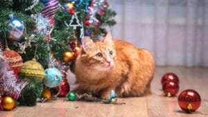 Don’t Toss Those Ornaments: 6 Ways to Upcycle Holiday Treasures 1 Don’t Toss Those Ornaments: 6 Ways to Upcycle Holiday Treasures - Ornament tree christmas cat ss1873751260 degm