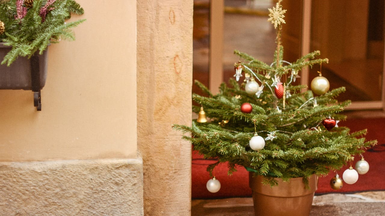 Don’t Toss Those Ornaments: 6 Ways to Upcycle Holiday Treasures 7 Don’t Toss Those Ornaments: 6 Ways to Upcycle Holiday Treasures - Ornament tree christmas ss2501347231 degm