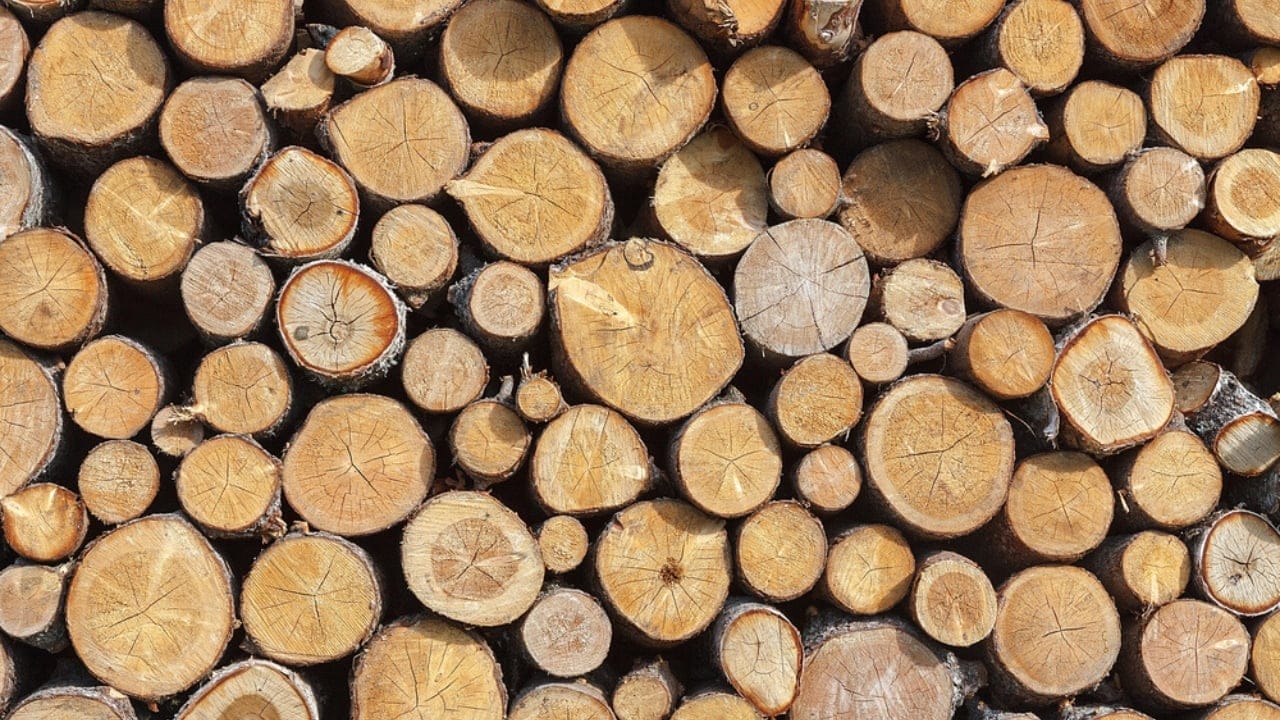 15 Woods You Should Never Burn: Protect Your Health and Home 8 15 Woods You Should Never Burn: Protect Your Health and Home - Pine Wood dp144058613 dnoh