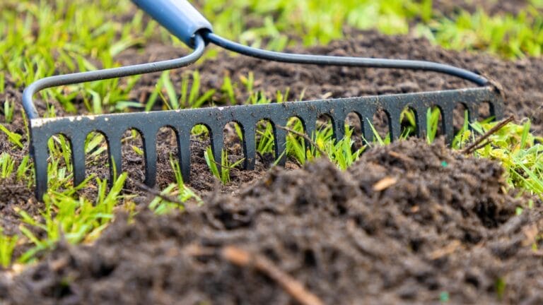 13 Steps in Leveling a Yard by Hand: Tools, Tips & Best Practices 9 13 Steps in Leveling a Yard by Hand: Tools, Tips & Best Practices - Raking fresh soil into the lawn ss2226016589 degm