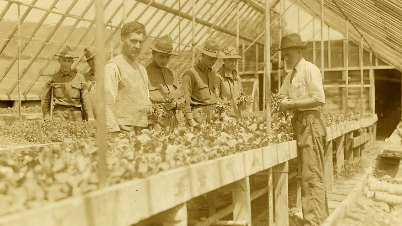 The Civil War Transformed American Farming Forever 4 The Civil War Transformed American Farming Forever - Recovering soldiers gardening in National Museum of Health and Medicine wc