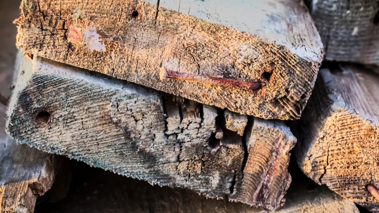 15 Woods You Should Never Burn: Protect Your Health and Home 6 15 Woods You Should Never Burn: Protect Your Health and Home - Rotten Wood dp82492674 dnoh