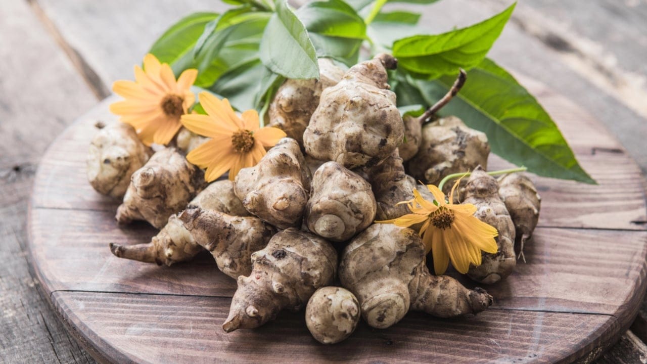 Bored of Basic Veggies... Grow These 15 Exciting Alternatives 11 Bored of Basic Veggies... Grow These 15 Exciting Alternatives - Sunchokes dp508254136 dnoh