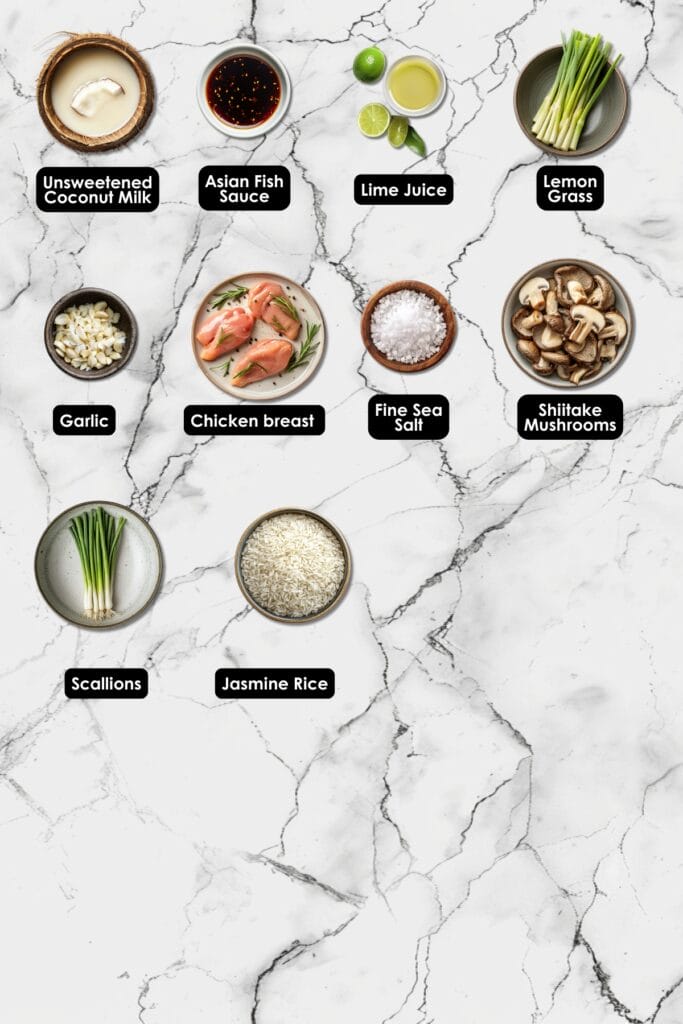 Quick & Easy Thai Chicken with Coconut Milk & Lemongrass 3 Quick & Easy Thai Chicken with Coconut Milk & Lemongrass - Thai Chicken Breasts with Coconut Milk Lemongrass Ingredients