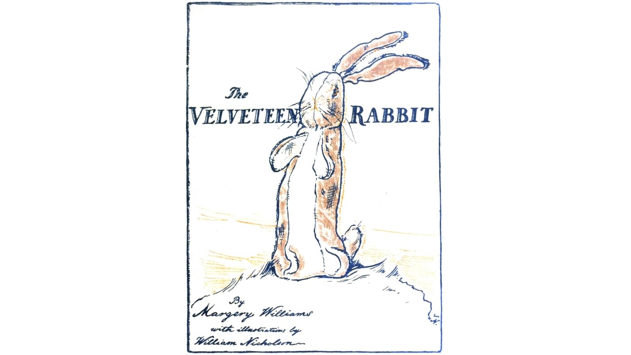 Check Your Home: 15 Things That Could Be Worth a Fortune 3 Check Your Home: 15 Things That Could Be Worth a Fortune - The Velveteen Rabbit wc