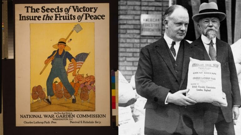 8 Leaders Who Turned Gardens Into Lifelines During War 5 8 Leaders Who Turned Gardens Into Lifelines During War - The seeds of victory insure the fruits of peace wc American seeds to reforest France and Great Britain wc
