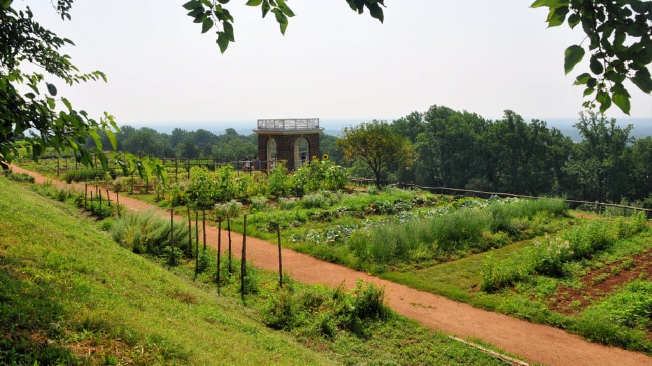 The Founding Fathers’ Gardens: Rooted in Enduring Ideals 3 The Founding Fathers’ Gardens: Rooted in Enduring Ideals -