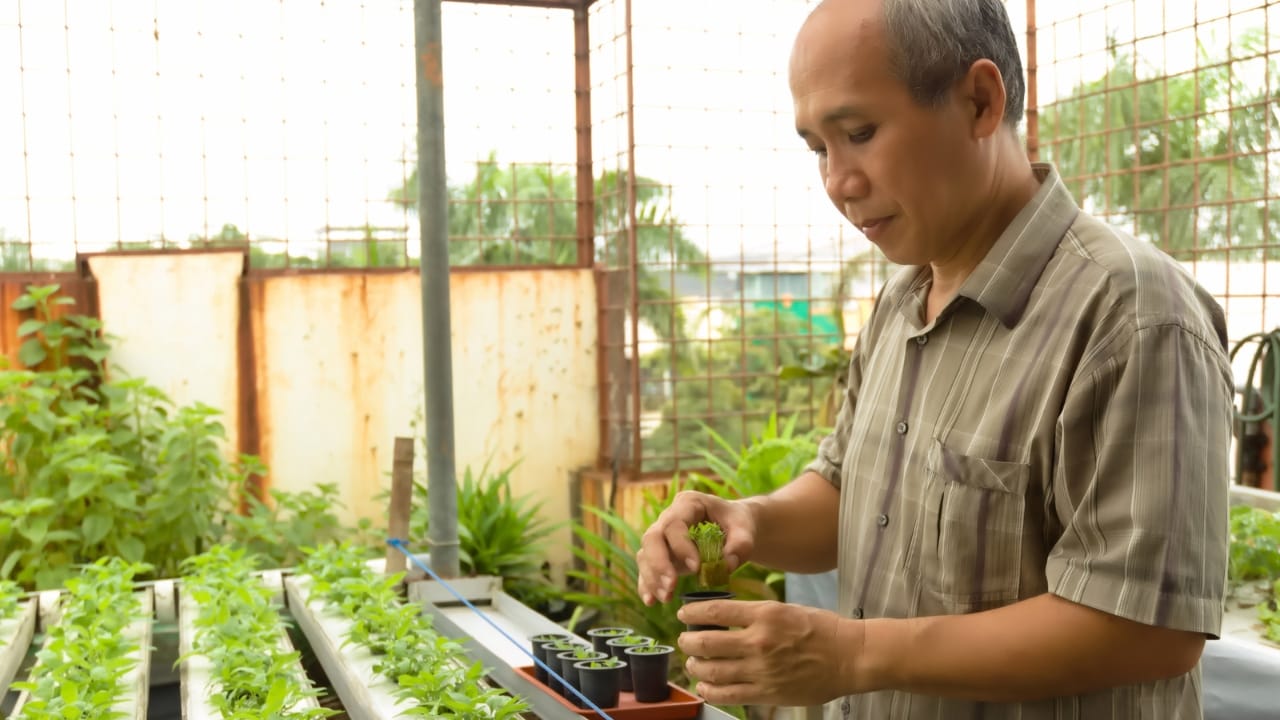 How to Profit From the $16.5B Houseplant Boom Right Now 11 How to Profit From the $16.5B Houseplant Boom Right Now - Trending Plant dp713458002 dnoh