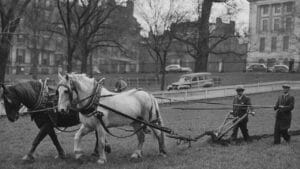 WWII Victory Gardens Still Matter in Today’s World 1 WWII Victory Gardens Still Matter in Today’s World - Victory Garden Program during World War 2 ss249573457 degm