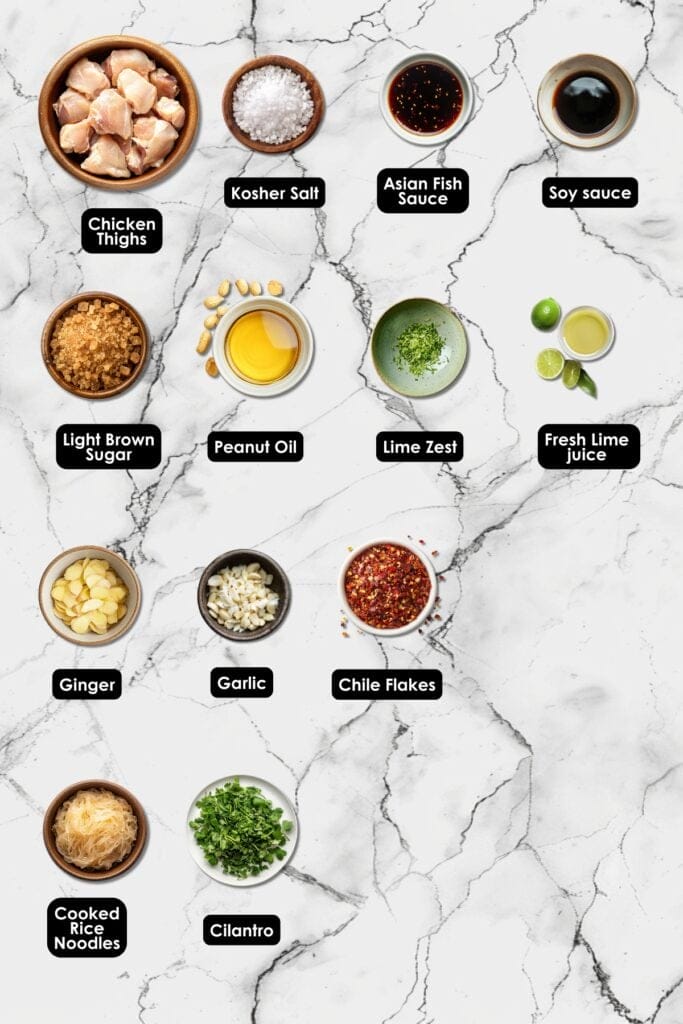 Vietnamese-Inspired Dinner Recipe: Zesty Ginger Chicken 3 Vietnamese-Inspired Dinner Recipe: Zesty Ginger Chicken - Vietnamese Ginger Chicken Ingredients