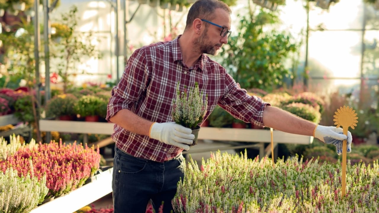 How to Profit From the $16.5B Houseplant Boom Right Now 10 How to Profit From the $16.5B Houseplant Boom Right Now - Wholesale Plant ss2452452261 dnoh 1