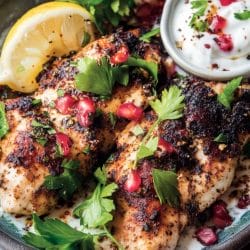Elevate Your Dinner With Za’atar Chicken & Yogurt Sauce 4 Elevate Your Dinner With Za’atar Chicken & Yogurt Sauce - Zaatar Chicken with Lemon Yogurt 1 1