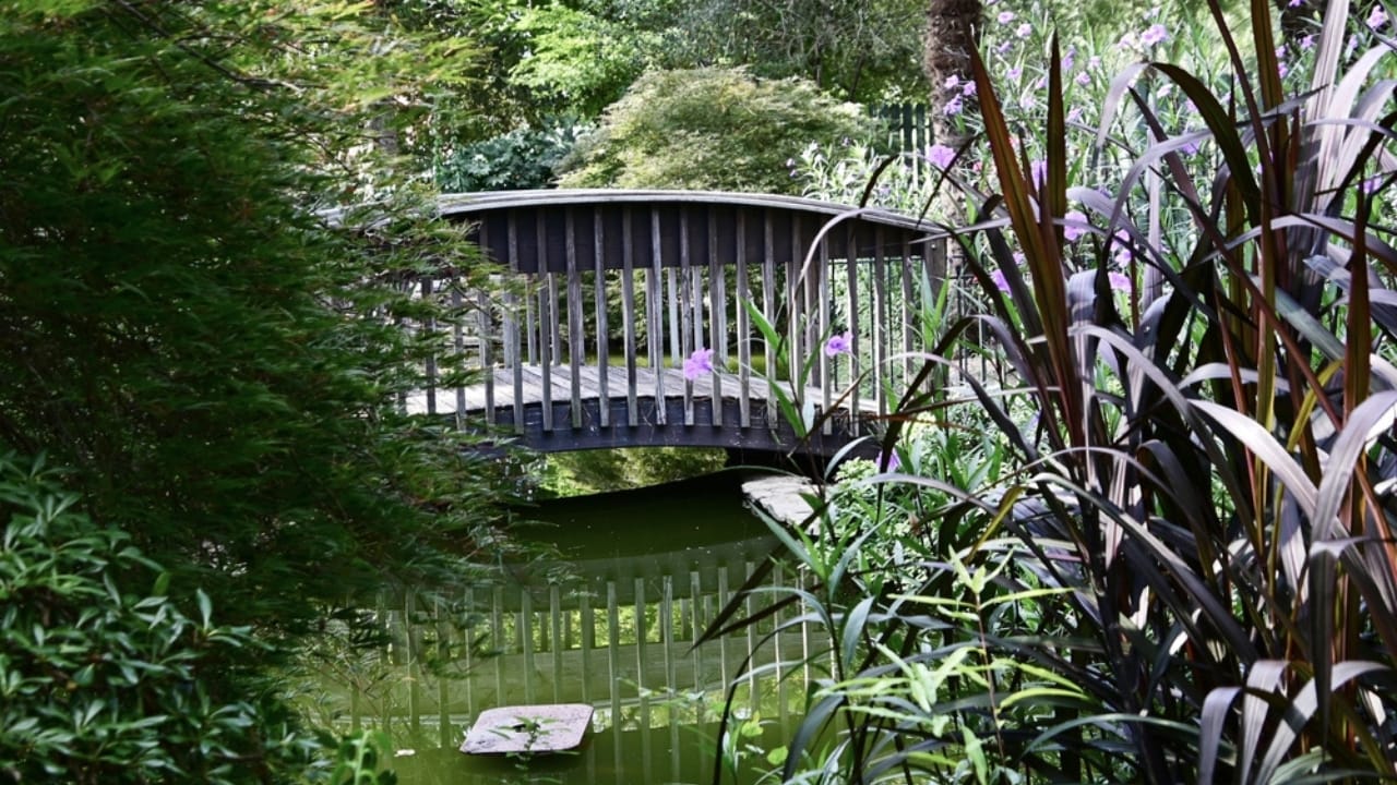 Where Memories Bloom: How Memorial Gardens Heal Hearts 11 Where Memories Bloom: How Memorial Gardens Heal Hearts - biodiversity memorial garden ss2203909425 dnoh