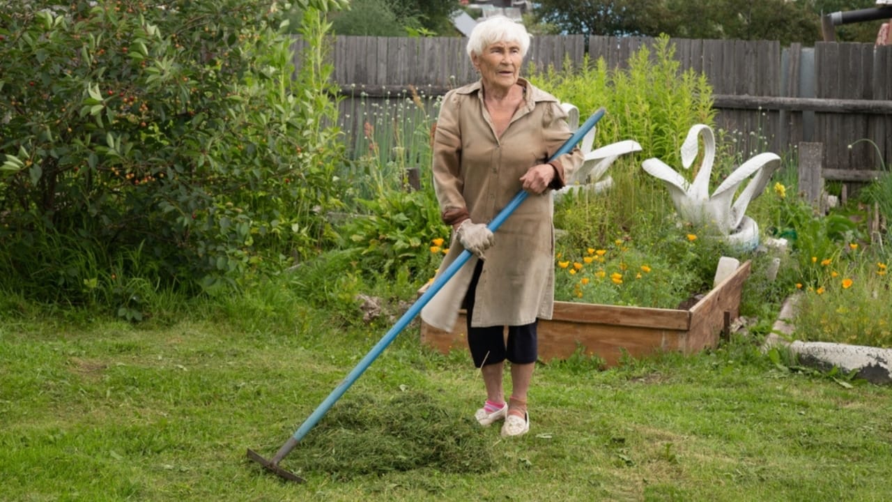 17 Reasons Baby Boomers Aren’t Joining the Downsizing Trend 12 17 Reasons Baby Boomers Aren’t Joining the Downsizing Trend - boomer in garden ss2338405089 dnoh