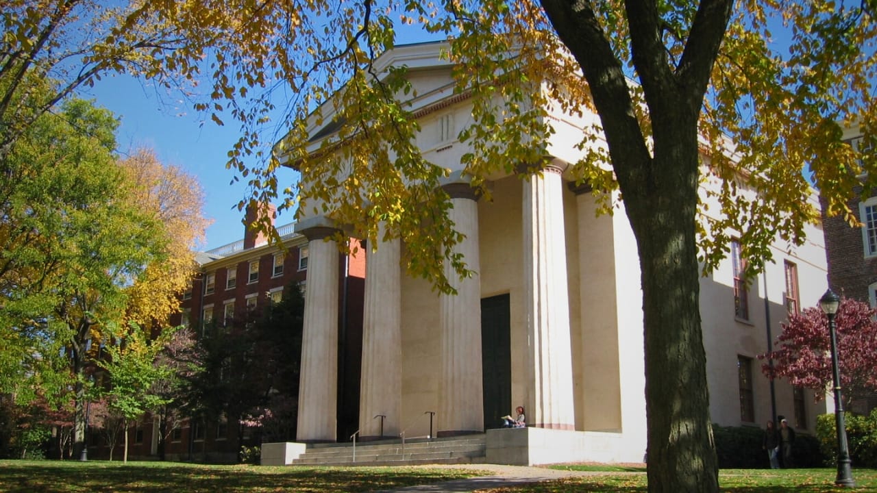 The Unexpected Tomato Discovery That Could Transform Farming 3 The Unexpected Tomato Discovery That Could Transform Farming - brown university wiki