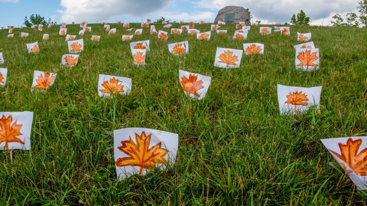 The Trees That Remember: Memorials to World War Heroes 7 The Trees That Remember: Memorials to World War Heroes - canadian maple memorial ss2485440899 dpdgm