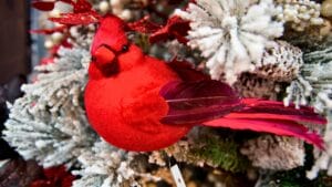 7 Reasons Cardinals Are Icons of Christmas Cheer 1 7 Reasons Cardinals Are Icons of Christmas Cheer - cardinal Christmas decoration ss1596163621 degm