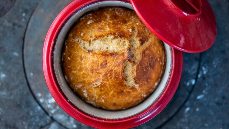 No-Knead Dough Recipe: The Easy Way to Homemade Bread & Pizza 5 No-Knead Dough Recipe: The Easy Way to Homemade Bread & Pizza - easy no kneed bread dough ss2082728851 degm