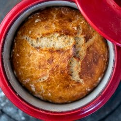 No-Knead Dough Recipe: The Easy Way to Homemade Bread & Pizza 4 No-Knead Dough Recipe: The Easy Way to Homemade Bread & Pizza - easy no kneed bread dough ss2082728851 degm