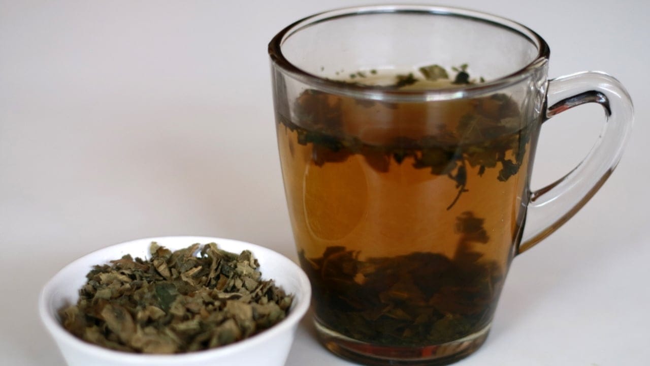 Fig Leaves Are the New Superfood: 4 Key Benefits 8 Fig Leaves Are the New Superfood: 4 Key Benefits - fig leaf tea ss1267876894 dnoh