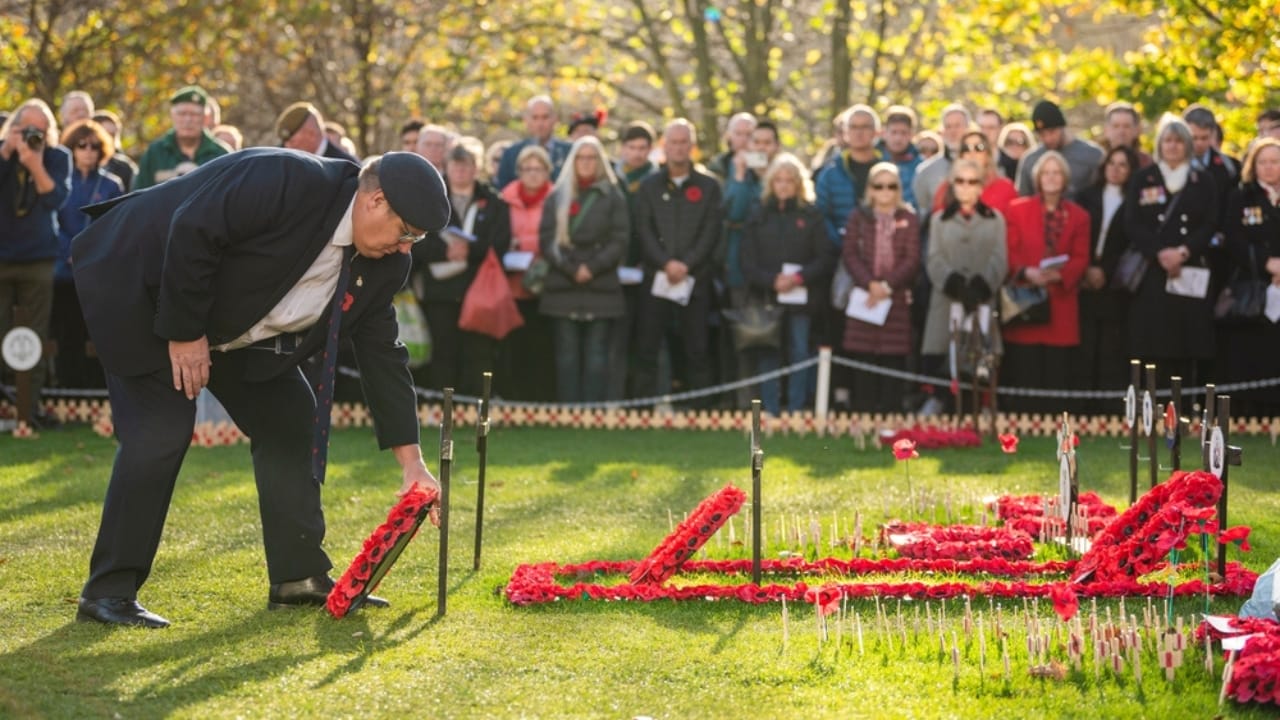 Where Memories Bloom: How Memorial Gardens Heal Hearts 10 Where Memories Bloom: How Memorial Gardens Heal Hearts - flowers in memorial garden ss2552217591 dnoh