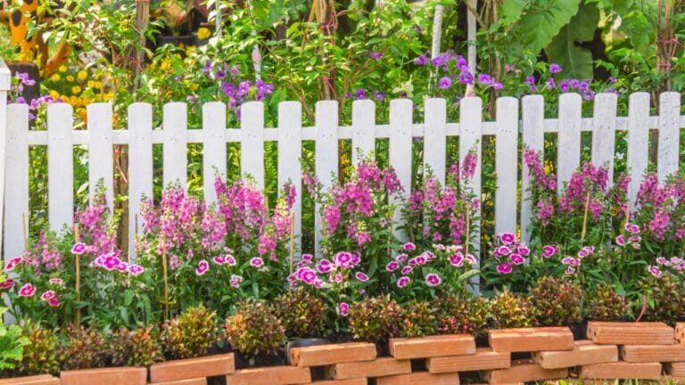 15 Plants That Transform Fence Lines Into Living Masterpieces 2 15 Plants That Transform Fence Lines Into Living Masterpieces - garden and fence dp174222492 dnoh
