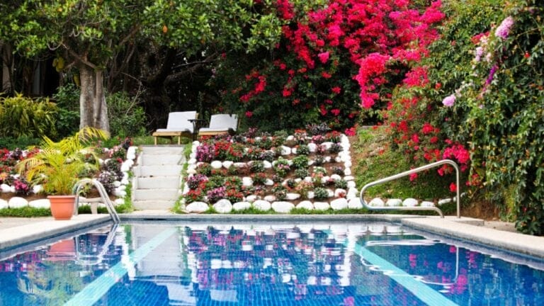 15 Gorgeous Poolside Plants That Repel Wasps and Bees - garden swimming pool dp9115239 dnoh