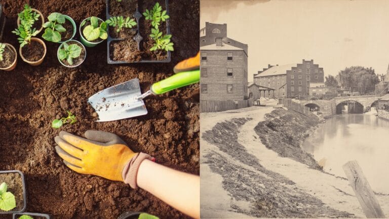 The Secret Weapon of the Civil War: Shovels and Seeds 2 The Secret Weapon of the Civil War: Shovels and Seeds - gardening planting sprouts dp635496376 dnoh Civil War View wc