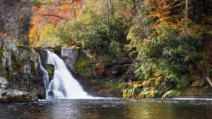Why National Parks Are America’s Greatest Living Gardens 1 Why National Parks Are America’s Greatest Living Gardens - great smoky mountains national park ss2223994275 dnoh