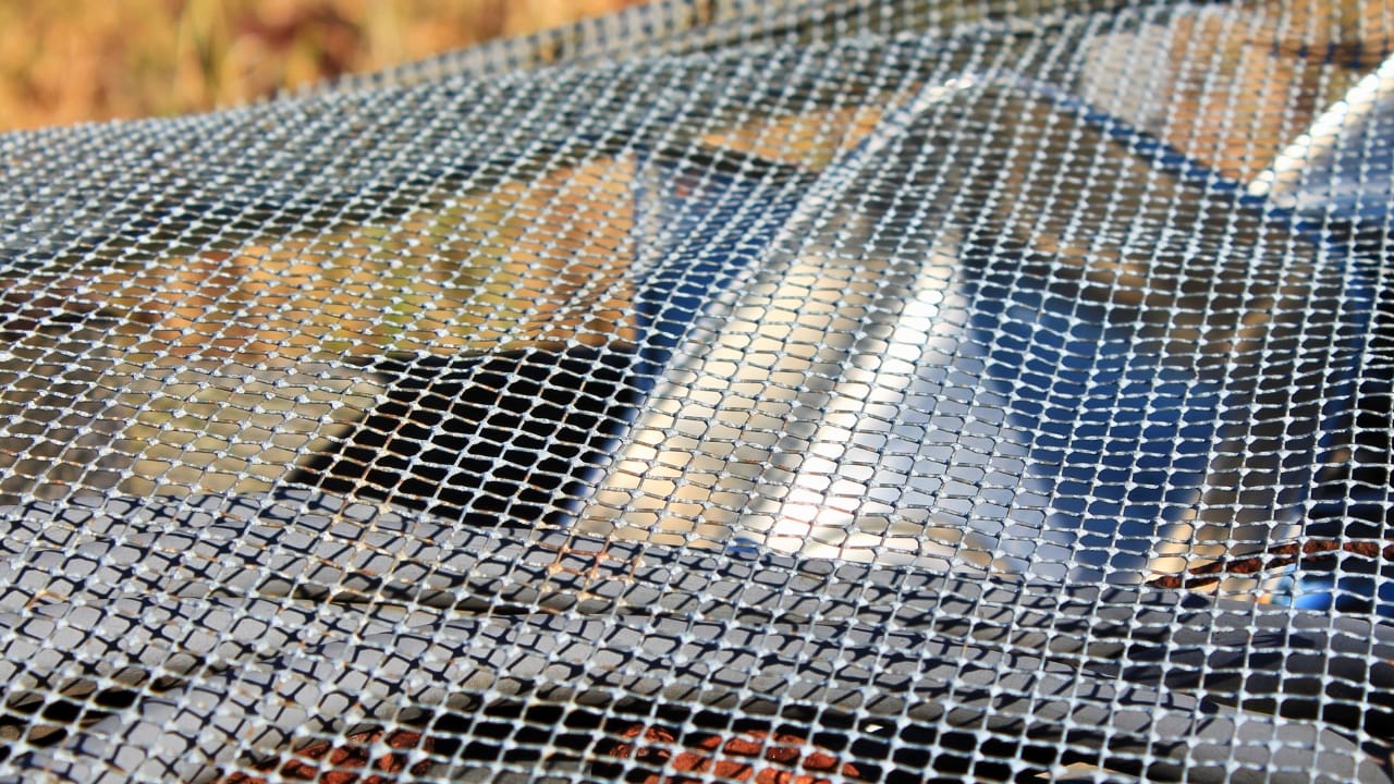 10 Ways to Drive Moles Out of Your Yard for Good 6 10 Ways to Drive Moles Out of Your Yard for Good - hardware cloth ss1143832301 degm