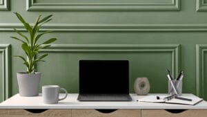 12 Plants to Complement Sage Green and Boost Wellness 1 12 Plants to Complement Sage Green and Boost Wellness - houseplant sage green wall ss2476063973 degm
