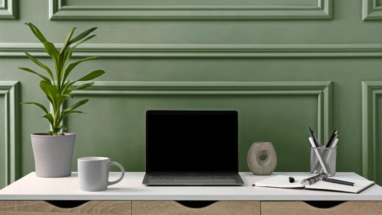 12 Plants to Complement Sage Green and Boost Wellness 6 12 Plants to Complement Sage Green and Boost Wellness - houseplant sage green wall ss2476063973 degm