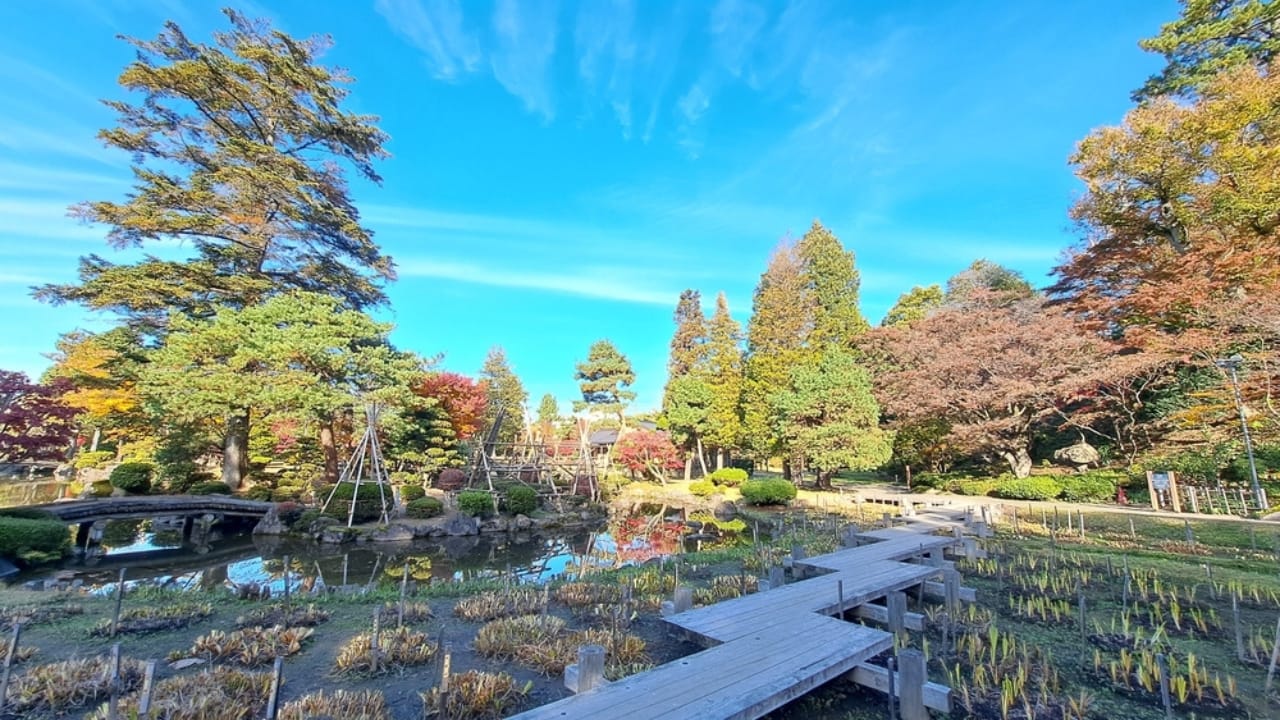 Where Memories Bloom: How Memorial Gardens Heal Hearts 15 Where Memories Bloom: How Memorial Gardens Heal Hearts - memorial garden ss2554003071 dnoh