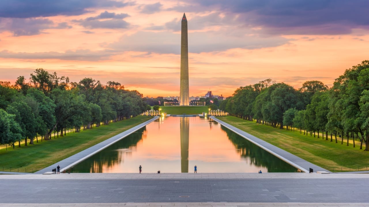 The Trees That Remember: Memorials to World War Heroes 8 The Trees That Remember: Memorials to World War Heroes - memorial washington tree ss1140788474 dpdgm