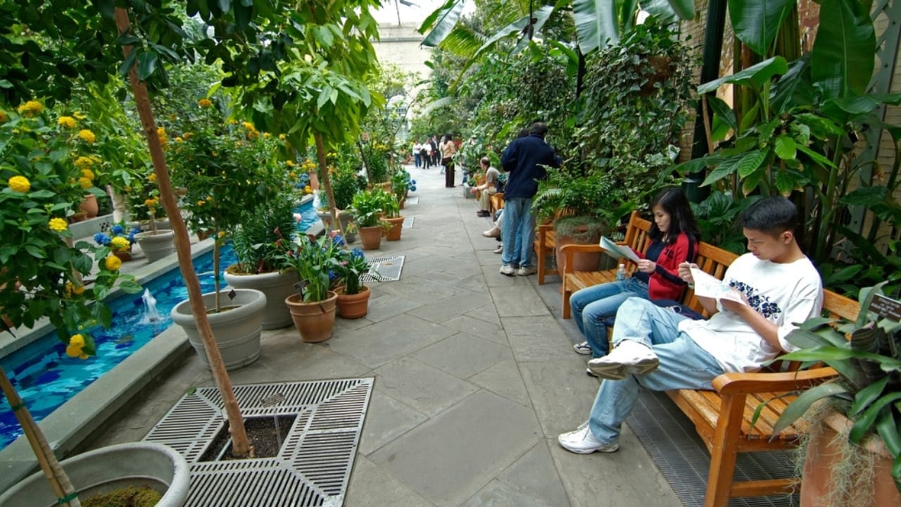 Where Memories Bloom: How Memorial Gardens Heal Hearts 5 Where Memories Bloom: How Memorial Gardens Heal Hearts - plants in garden ss2514991405 dnoh