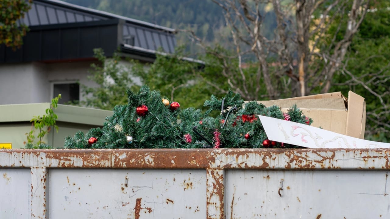 Skipping Holiday Decor Could Be the Best Gift This Year 12 Skipping Holiday Decor Could Be the Best Gift This Year - plastic fir tree christmas blass in trash dp752052638 dnoh