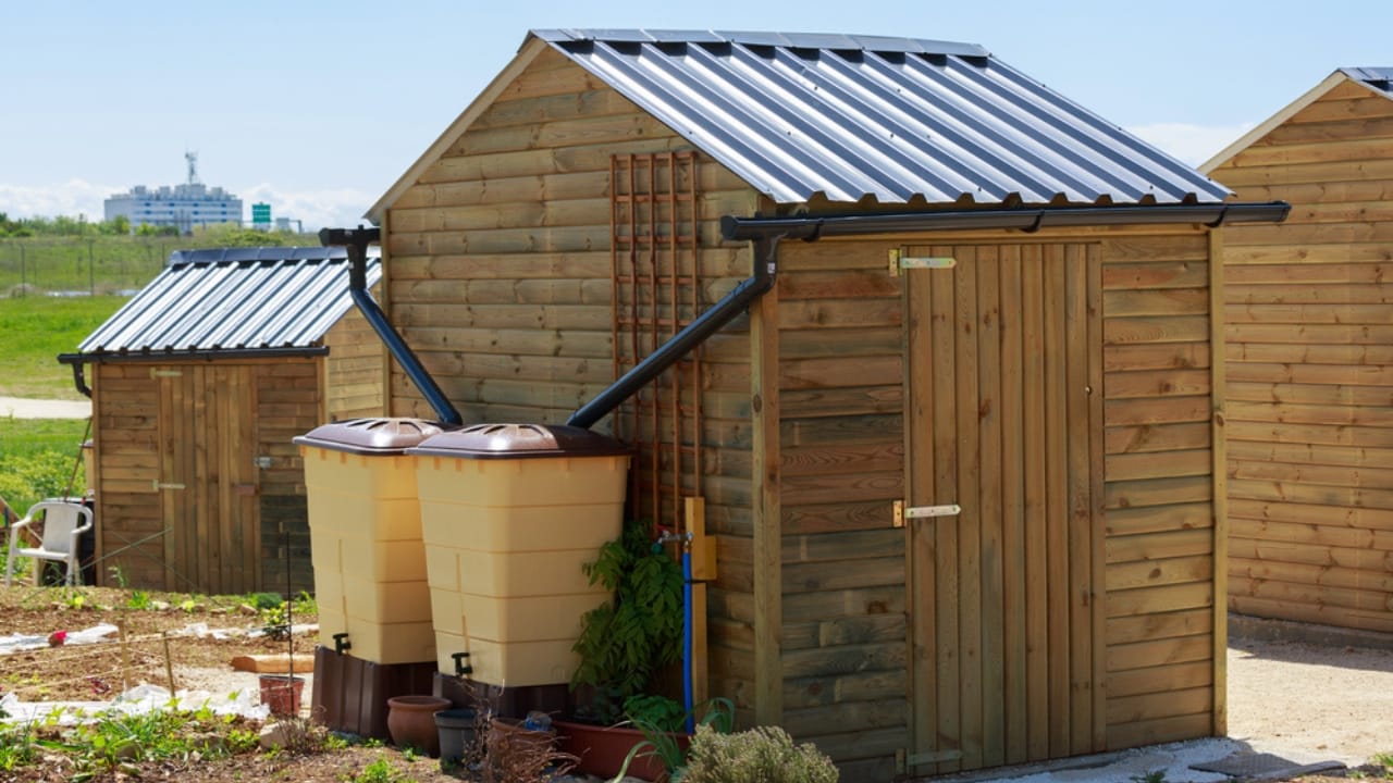 15 Skills to Master Before Starting Your Dream Homestead 8 15 Skills to Master Before Starting Your Dream Homestead - rainwater harvesting dp158607708 dnoh