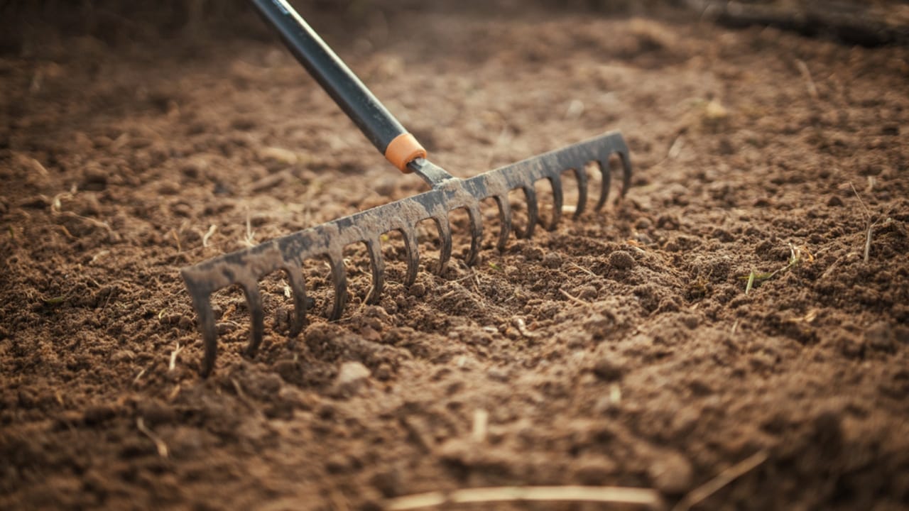 13 Steps in Leveling a Yard by Hand: Tools, Tips & Best Practices 18 13 Steps in Leveling a Yard by Hand: Tools, Tips & Best Practices - rake soil yard leveling dp648125210 dnoh