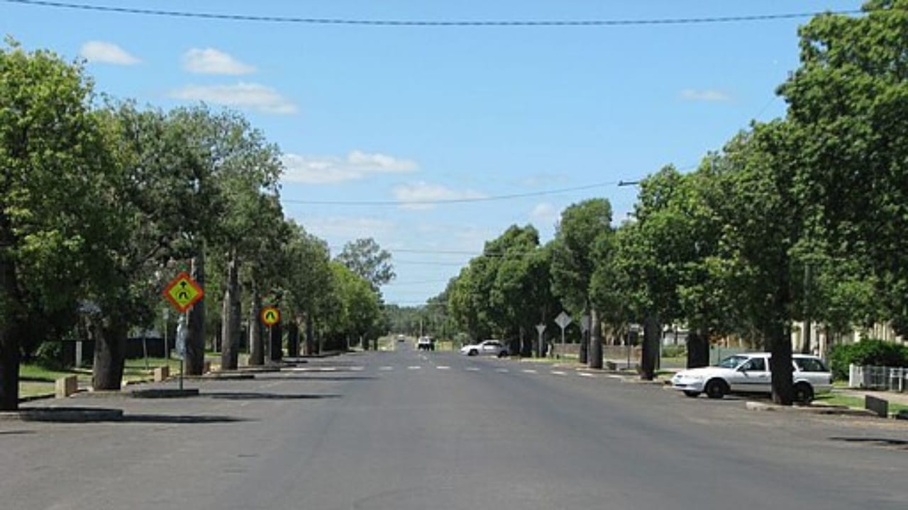 The Trees That Remember: Memorials to World War Heroes 4 The Trees That Remember: Memorials to World War Heroes - roma heroes avenue wc