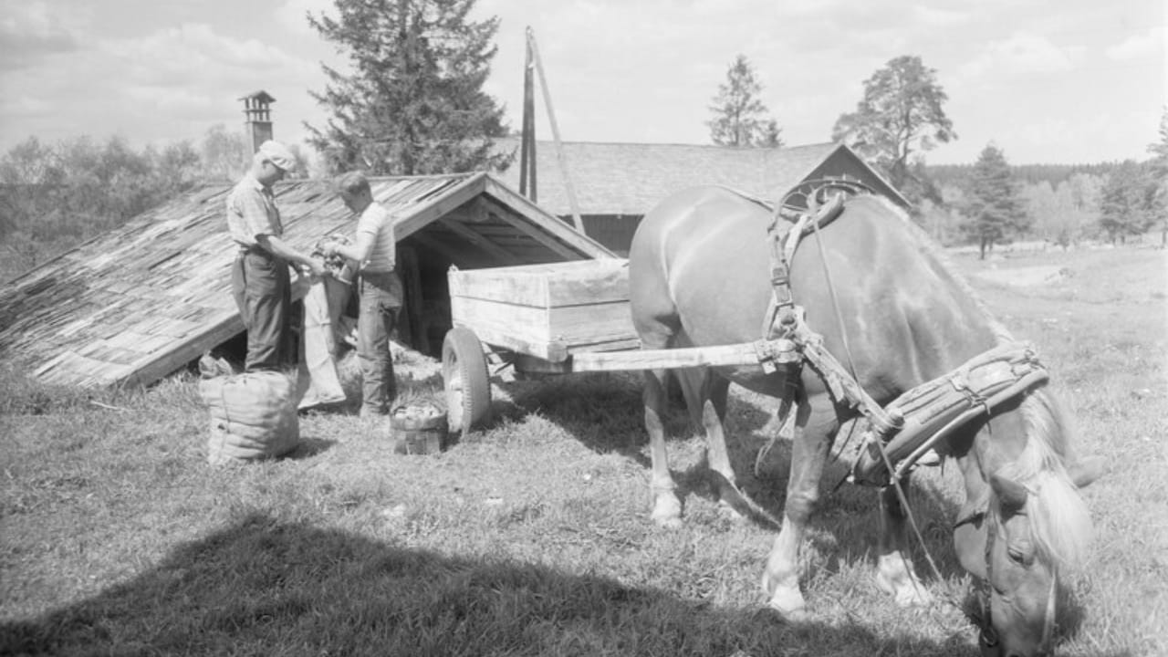 Root Cellars Resurge: How They’re Saving Money and Food 2 Root Cellars Resurge: How They’re Saving Money and Food - root cellar ancient wc