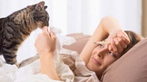 Cats Are More Supportive Than You Think—10 Signs Show It 1 Cats Are More Supportive Than You Think—10 Signs Show It - sick woman cat ss173451392 degm