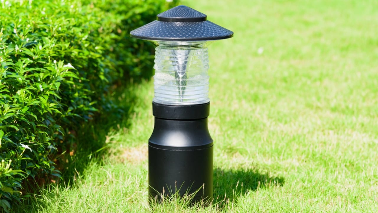 Front Yard Upgrades: 25 Simple Landscaping Ideas That Add Value - small lantern in garden dp223079274 dnoh
