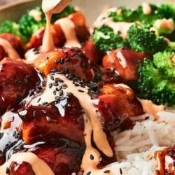 Sticky Chicken Rice Bowls That's Better Than Takeout 7 Sticky Chicken Rice Bowls That's Better Than Takeout - sticky chicken rice bowl 2