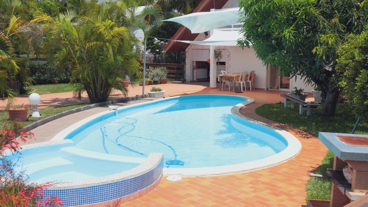 15 Gorgeous Poolside Plants That Repel Wasps and Bees - swimming pool dp127607238 dnoh