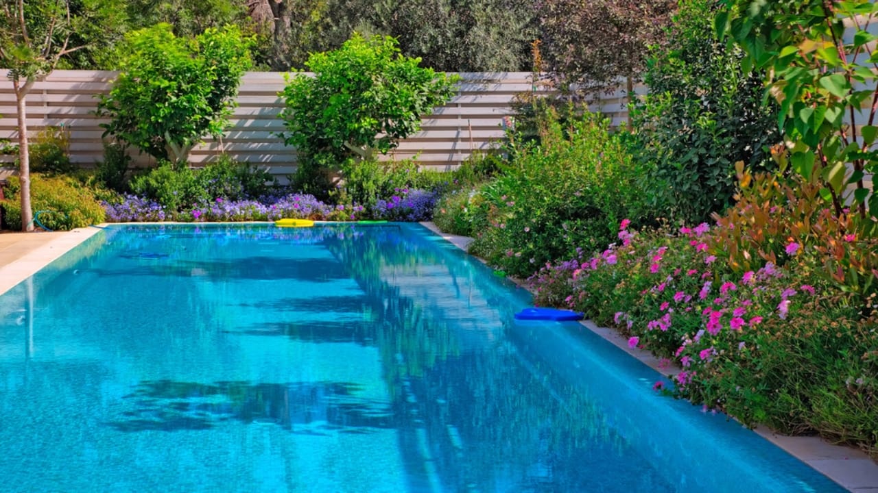 15 Gorgeous Poolside Plants That Repel Wasps and Bees - swimminng pool with flowers dp10608314 dnoh