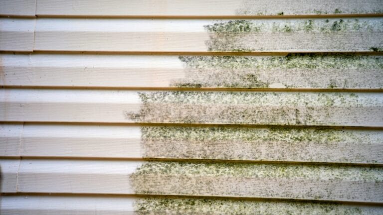 Say Goodbye to Mildew: Clean Your Siding with Vinegar 2 Say Goodbye to Mildew: Clean Your Siding with Vinegar - vinyl siding mold ss2020553936 degm