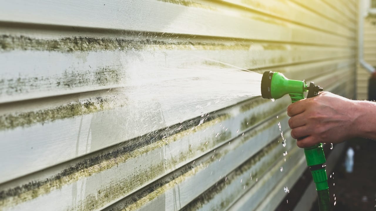 Say Goodbye to Mildew: Clean Your Siding with Vinegar 3 Say Goodbye to Mildew: Clean Your Siding with Vinegar - vinyl siding mold ss2471124013 degm